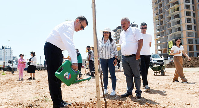 Jacaranda ve narenciye fidanları toprakla buluştu