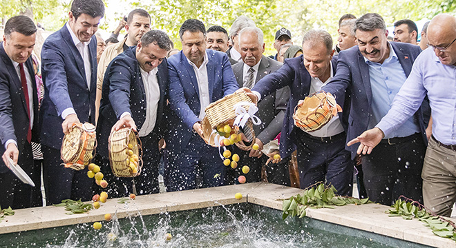 61.Mut Karacaoğlan Kayısı Festivali yapıldı