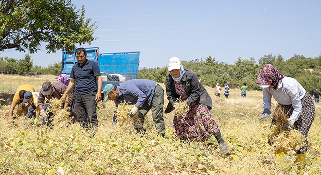 Tarımsal destekler üreticinin yüzünü güldürdü